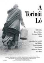 Онлайн филми - A Torinoi Lo / Торинският кон (2011)