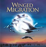 Онлайн филми - Winged Migration / Миграцията на птиците (2001)