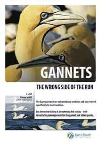 Gannets: The Wrong Side of the Run / Рибояди - грешната страна на брега (2010)
