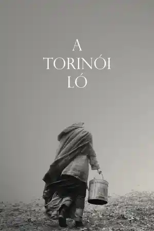 A Torinoi Lo