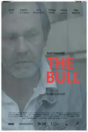 Bull