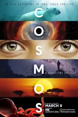 Cosmos: A Spacetime Odyssey: Standing Up in the Milky Way