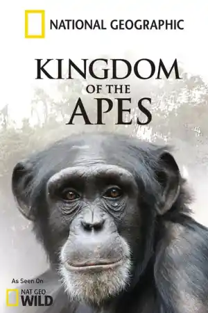 Kingdom of the Apes - Clash of Kings