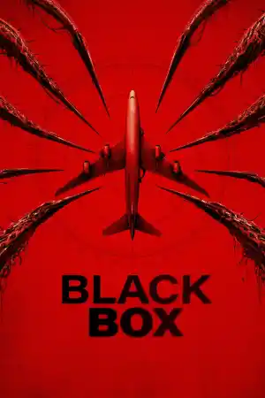 Black Box (Flight 298) (2026) онлайн